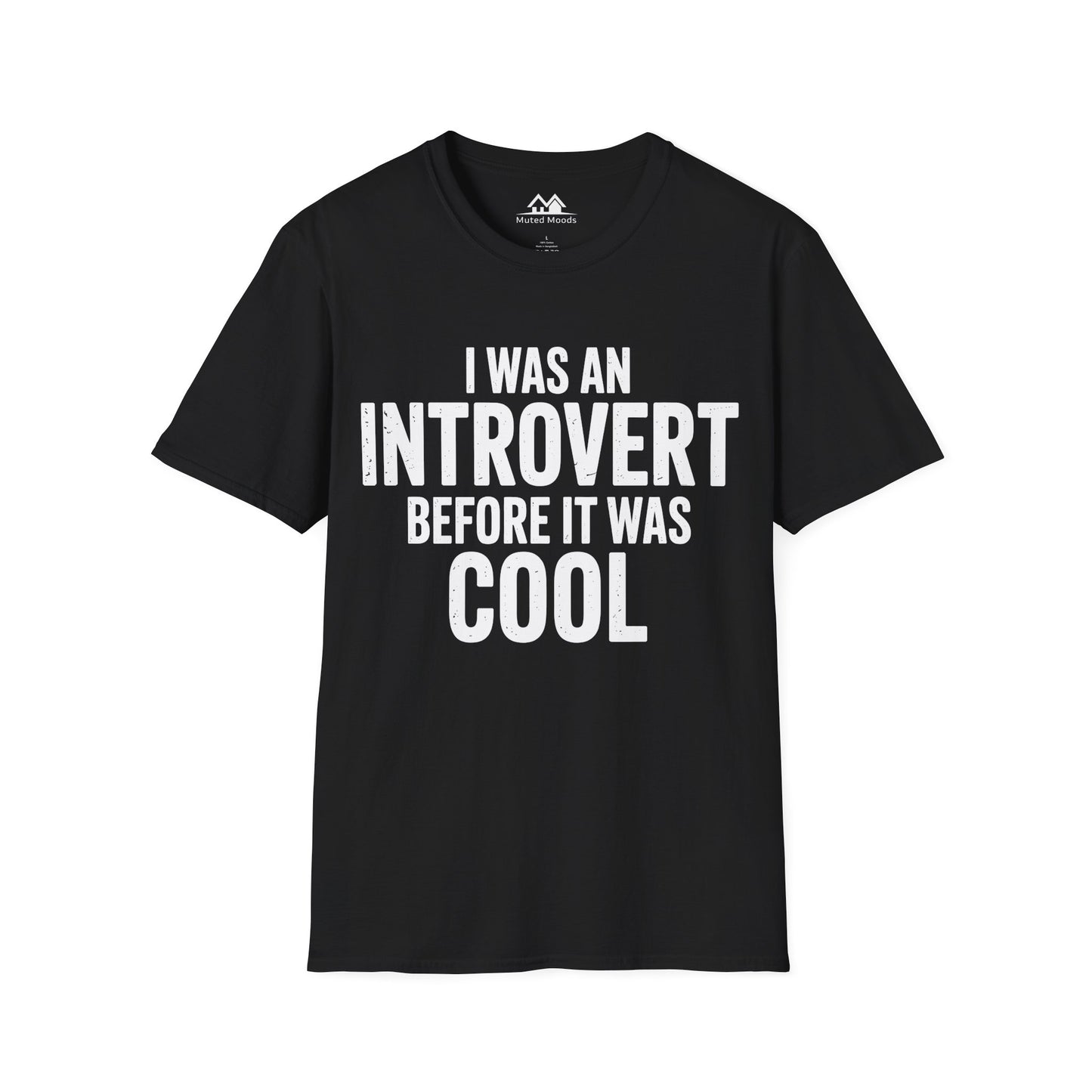 I Was An Introvert Before It Was Cool
